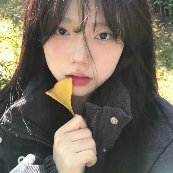 驱车向前